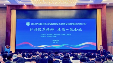 海王集團(tuán)位列2024中國民營企業(yè)500強(qiáng)第240位，2024中國制造業(yè)民營企業(yè)500強(qiáng)第168位